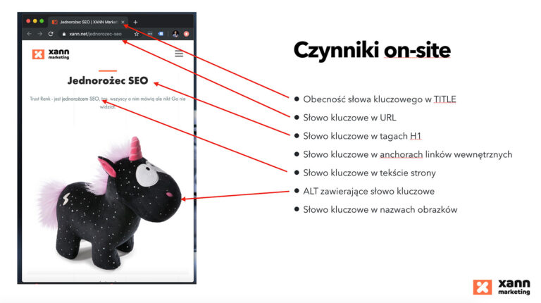 Jednorożec SEO – czym jest i czego uczy o pozycjonowaniu?