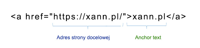 Budowa adresu URL: protokół, domena, ścieżka i parametry na przykładzie sklepu